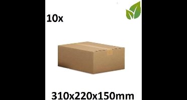 Kinky Pleasure - Gerecycled - 10 stuks - Verzenddoos - 310 x 220 x 150 mm - Bruin