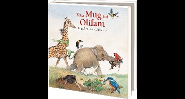 Kaartenmapje met env, vierkant: Van Mug tot Olifant, Ingrid & Dieter Schubert