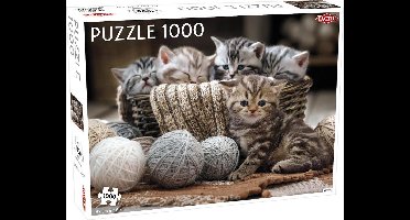 Cute Kittens - 1000 stukjes