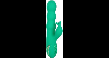 CALIFORNIA EXOTICS | Calex Sonoma Satisfier Green