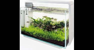 Glazen dekruit home aquarium 80