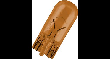 Philips Knipperlichten Wy5w Vision 12v Oranje 10 Stuks
