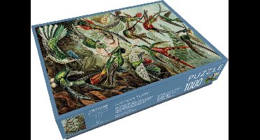 Bekking & Blitz - Puzzel - 1.000 stukjes - Kunst - Art Forms of Nature - Ernst Haeckel - Teylers Museum