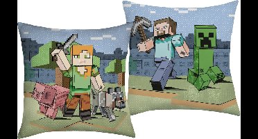 Minecraft Kussen, Overworld - 40 x 40 cm - Polyester
