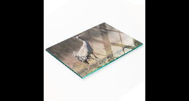 Multifunctionele decoratieve snijplank van gehard glas voor de keuken, Czapla, 80x52 cm
