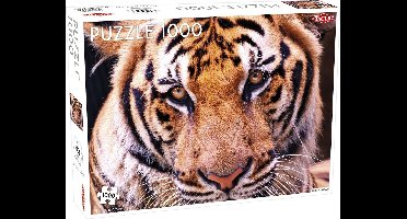 Tactic Tiger – Puzzel – 1000 stukjes – Krachtig Wild Dier – Strak en Rustgevend Ontwerp – Hoogwaardige Scandinavische Kwaliteit