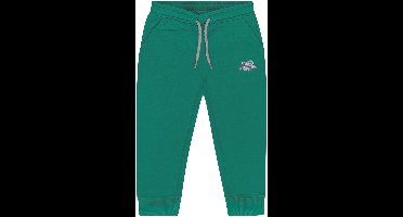 Cars Jeans Joggingbroek Goos jr. - Jongens