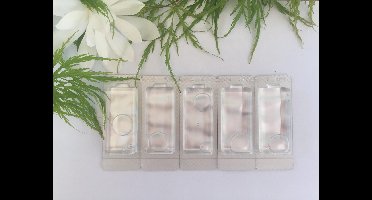 5x GeurSticks Tonic Fresh (> 5 maanden geurverspreiding!)