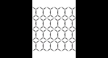 Eclipse Fusion wit/zwart behang (vliesbehang, zwart-wit)