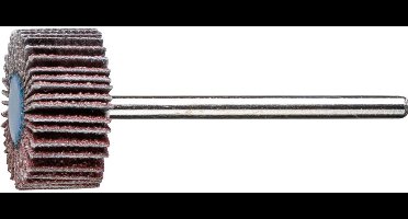 PFERD TOOLS 47801206 Lamellenslijper Diameter 20 mm 10 stuk(s)