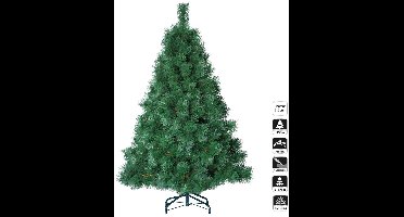 Kerstboom NEBRASKA