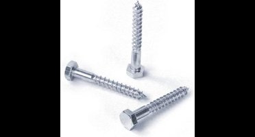 Houtdraadbouten Verzinkt 8X 45 Din 571 - 200 stuks