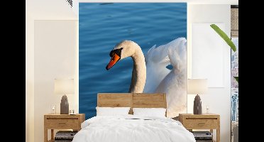Behang - Fotobehang Zwaan - Water - Vogel - Wit - Breedte 160 cm x hoogte 220 cm