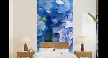 Behang - Fotobehang Hortensia - Waterdruppel - Bloemen - Botanisch - Blauw - Breedte 120 cm x hoogte 240 cm