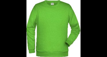 James And Nicholson Heren Basis Sweatshirt (Kalk groen)