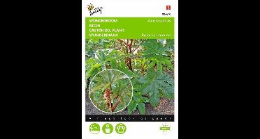 Wonderboom - Ricinus communis