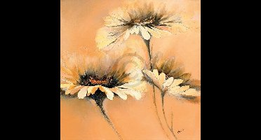 Kunstdruk Elena Filatov - Apricot Summer I 70x70cm