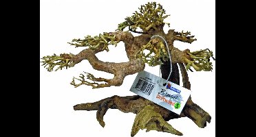 Bonsai Boom - Aquarium Bonsai Tree