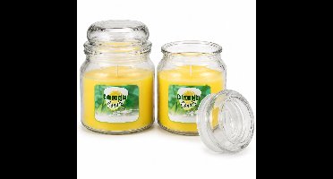 Citronellakaarsen Set van 2 – Houdt Muggen op Afstand – Glazen Pot met Deksel – 2 x 750 g – 350 g Was – Brandduur 65-70 uur – Tuinkaarsen Buiten