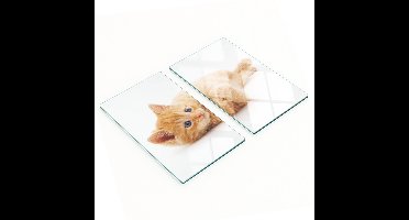 Glazen serveerplanken voor in de keuken met afbeelding van een rode kat, 2x30x52 cm