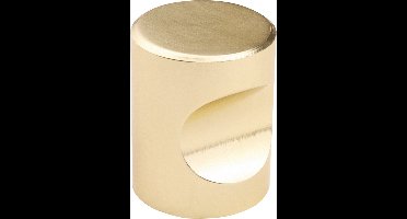 Lavuzo Kastknop Mat Goud 19x25 mm | Per stuk