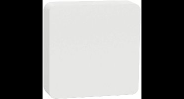 Schneider Electric Wiser CCT593012 Temperatuursensor, Luchtvochtigheidssensor