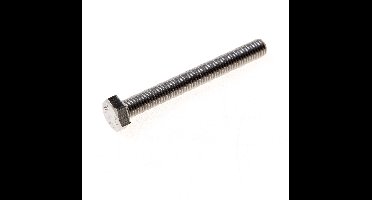 Kelfort Zeskanttapbout RVS A2 m6 x 12mm