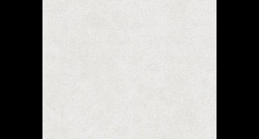 GEMELEERD BEHANG | Modern - beige - A.S. Création BETON "Concrete & More"