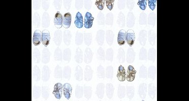BABYSCHOENTJES BEHANG | Kinderkamer - blauw - A.S. Création Little Stars