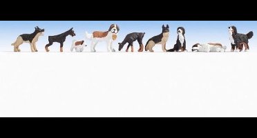 Honden