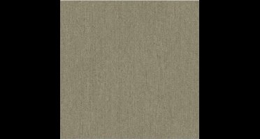 Passion uni d.beige 37023
