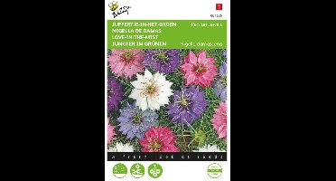 Juffertje int groen Persian Jewels - Nigella damascena