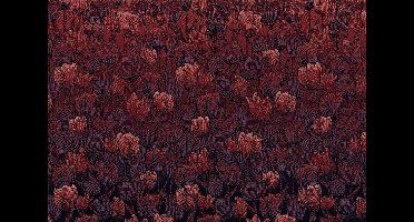 Komar Heritage | rood bloemenpatroon | fotobehang op vlies 400x280cm