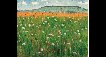 Kunstdruk Ferdinand Hodler - Wiesenstück 1900/1902 60x48cm