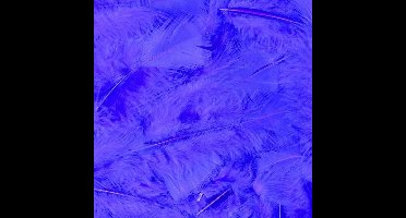 Veertjes Blauw - 100 Stuks - 15 Cm