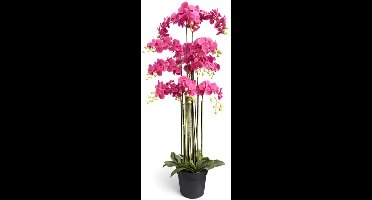 Orchidee fuchsia in pot H 160 cm kunstplant Oosterik Home