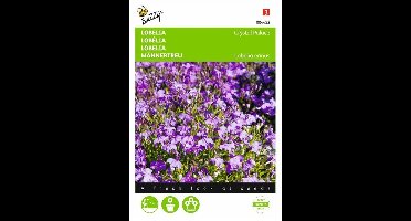 Lobelia Crystal Palace