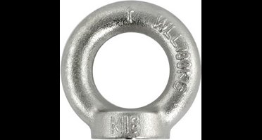 Oogmoer gesmeed DIN 582 M10 RVS-316