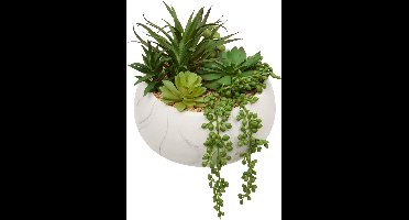 Atmosphera Kunstplant Vetplant Jesty met keramieken pot - 21x18x21cm - Wit