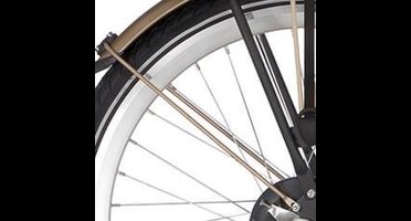 Alpina Spatbordstang achter 26 Curve matt gold