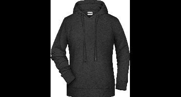 James and Nicholson Dames/dames Raglan Sleeved Hoodie (Zwarte Heide)