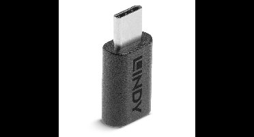 LINDY USB 3.2 Gen 2x2 Adapter [1x USB-C stekker - 1x USB-C bus]