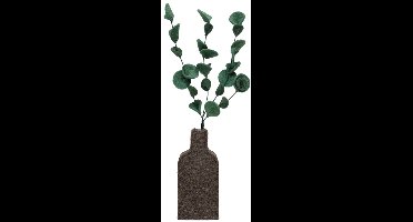 KidsDepot Eucalyptus in Vaas