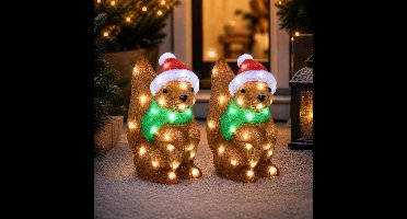 Lumineo Kerstverlichting figuur - 2x - eekhoorn - 16 x 30 x 30 cm - acryl - buiten - verlichte figuren