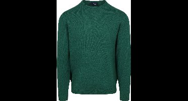 Steppin' Out Trui Merinowol Groen - Maat 3XL - Heren - Pullovers