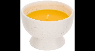 Morgan citronella geurkaars 75g
