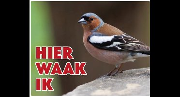 Hier waak ik 146 vink NL waakbord met een gekleurde achtergrond