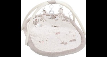 Babygym, Baby cadeau - jongen & meisje, Dierenvriendjes Speelmat, Interactief Speelgoed - Multikleuren.