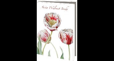 Bekking&Blitz (museum)kaartjes klein Bloemen van Anita Walsmit Sachs