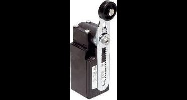 Pizzato Elettrica FR 556-M2 FR 556-M2 Eindschakelaar 250 V/AC 6 A Zwenkbare rolhendel Moment IP67 1 stuk(s)